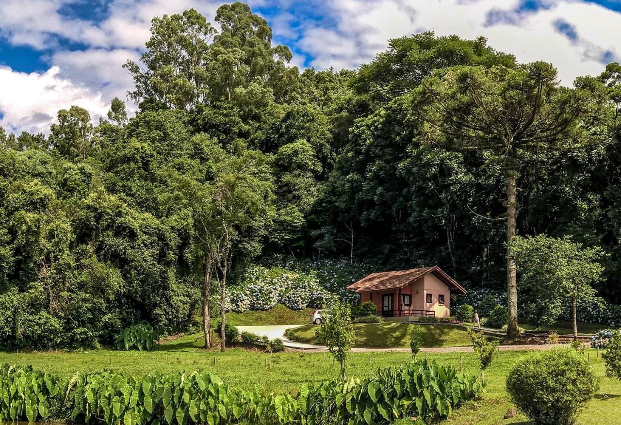 Pousada Pinhal Alto Nova Petropolis Buitenkant foto
